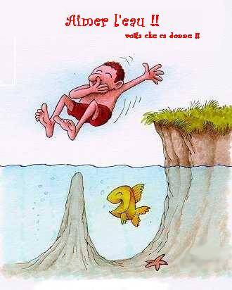 ...povre chou!!....