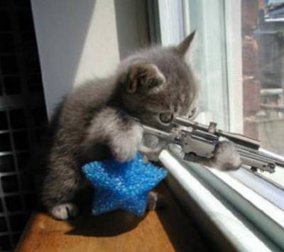 Chat alors !
